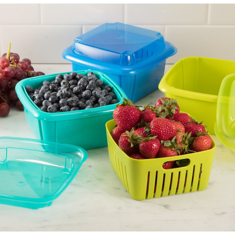 Scheid Food Storage Container, Blue