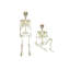 Polyvinyl Chloride (PVC) Halloween Decoration