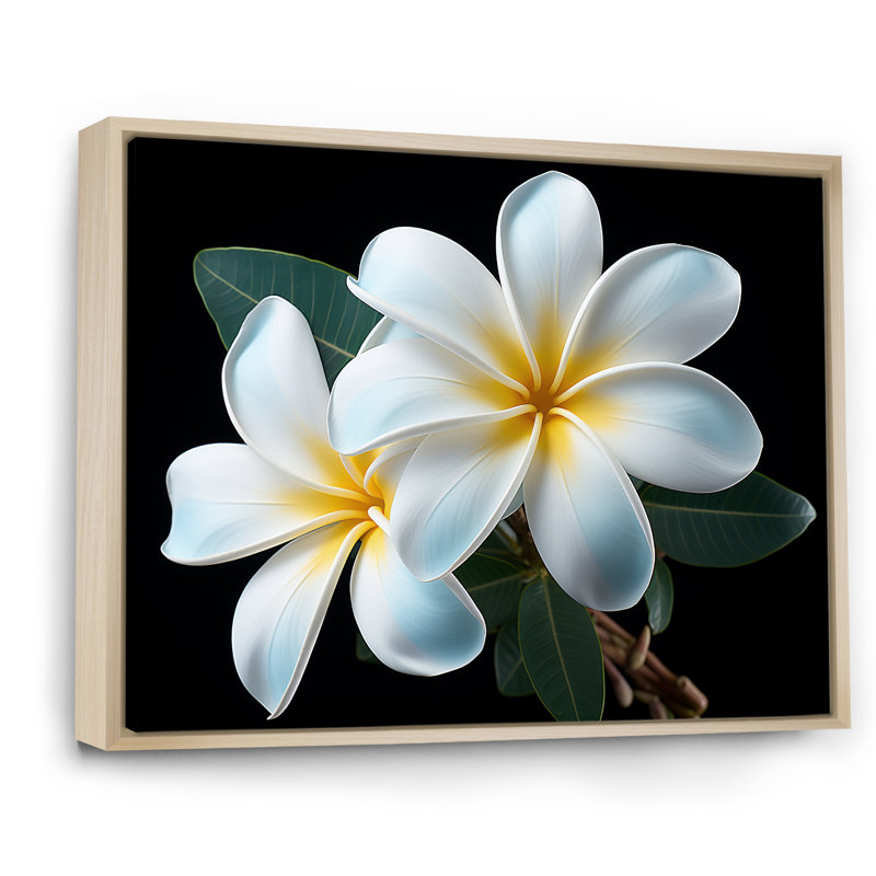 Plumeria charmante élégance I - impressions sur toile Plumeria, Cadre flottant naturel, H 16 po x l 32 po x P 1 po