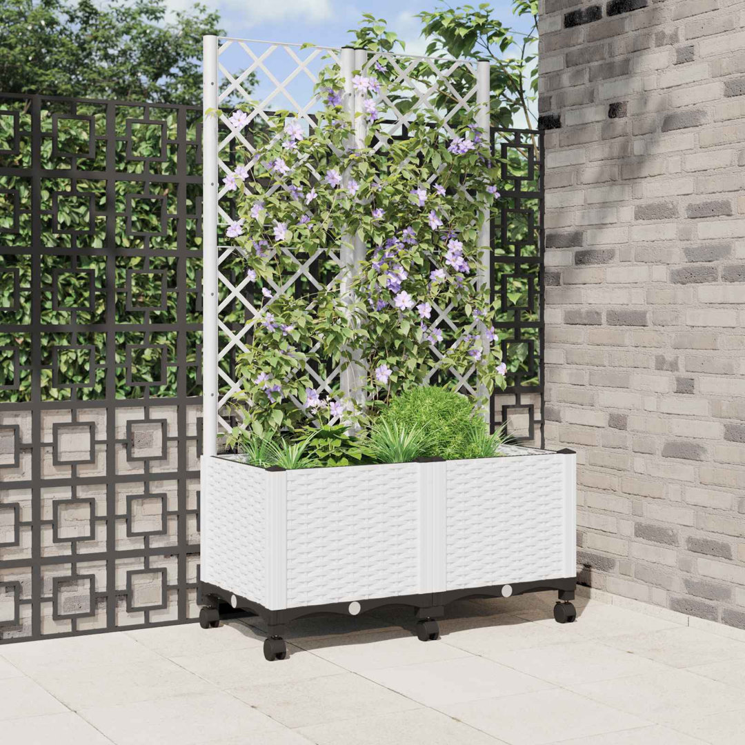 Planter Box