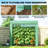 Mini Greenhouse, Portable Greenhouse with Roll-Up Door and 2 Mesh Windows, Small Green House with PE Cover for Garden Patio Lawn, 78.7" x 29.5" x 74", Green-123764062