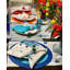Jubilant Blue/Teal NR P/4-2001294771