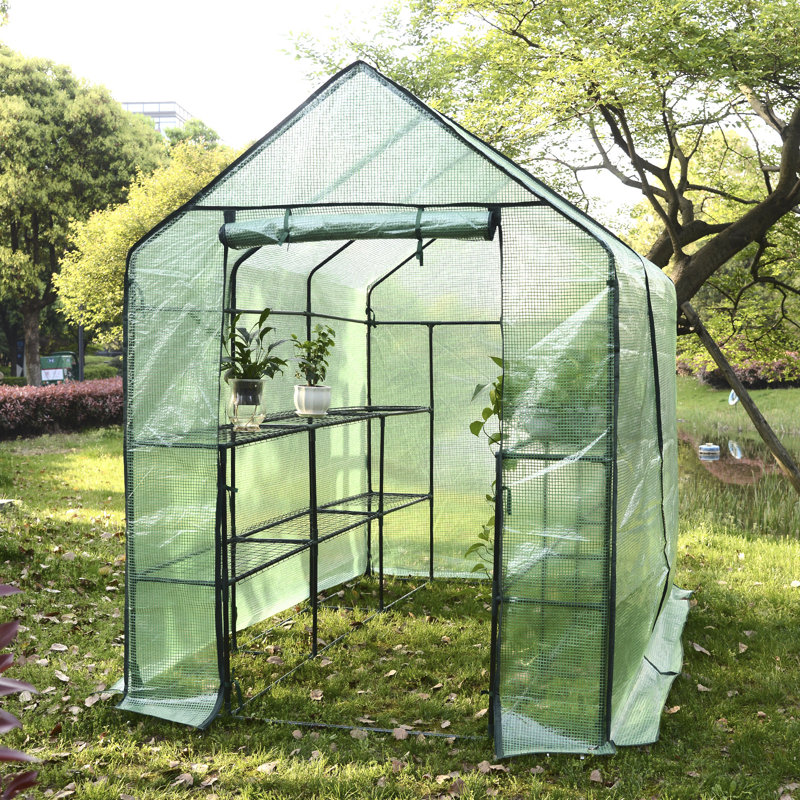 Ellicottville 7 Ft W x 4.7 Ft D Mini Greenhouse, Green