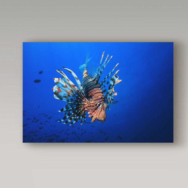 Art mural sur toile tendue - Barathieu Gabriel «Poisson-lion» pour décoration de salon, de chambre à coucher ou de bureau - 12 x 19