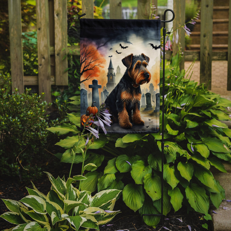 Double Sided 15.5'' H x 11.25'' W Polyester Halloween Garden Flag