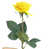 Yellow is out of stock selected