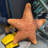 Comic Cushion Starfish Statue