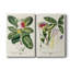 Toile tendue avec châssis Imperial I Botanical Imperial-108963296