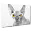 Sphynx Cat With Amber Eyes Painting - Wrapped Canvas Print-56654388