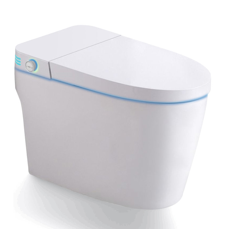 Toilette à bidet allongée VIBRANTBATH GPF (siège inclus)