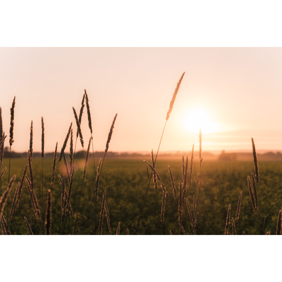 Ländliche Landschaft in Saskatchewan