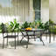 Outdoor Patio Dining Armchair