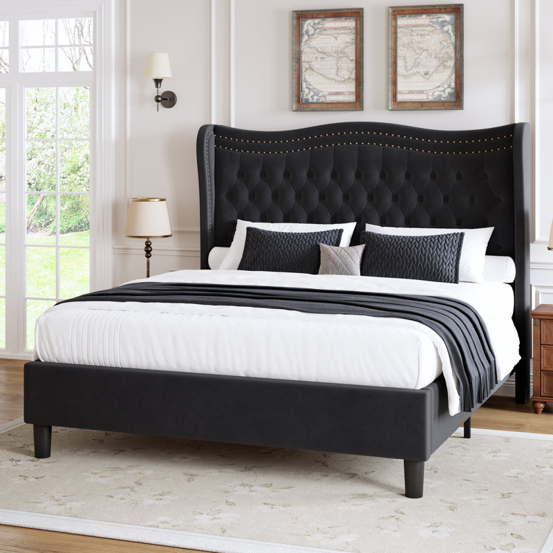 Eliso, Black,  Full / Double
