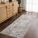 Oveda Oriental Machine Washable Gray Area Rug