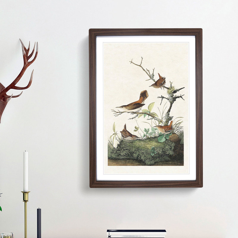 Wrens by John James Audubon - Picture Frame Painting Print, 48cm H x 36cm W x 2cm D, Walnut Framed