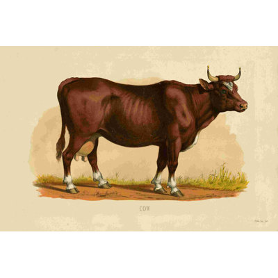 Vache 2884041