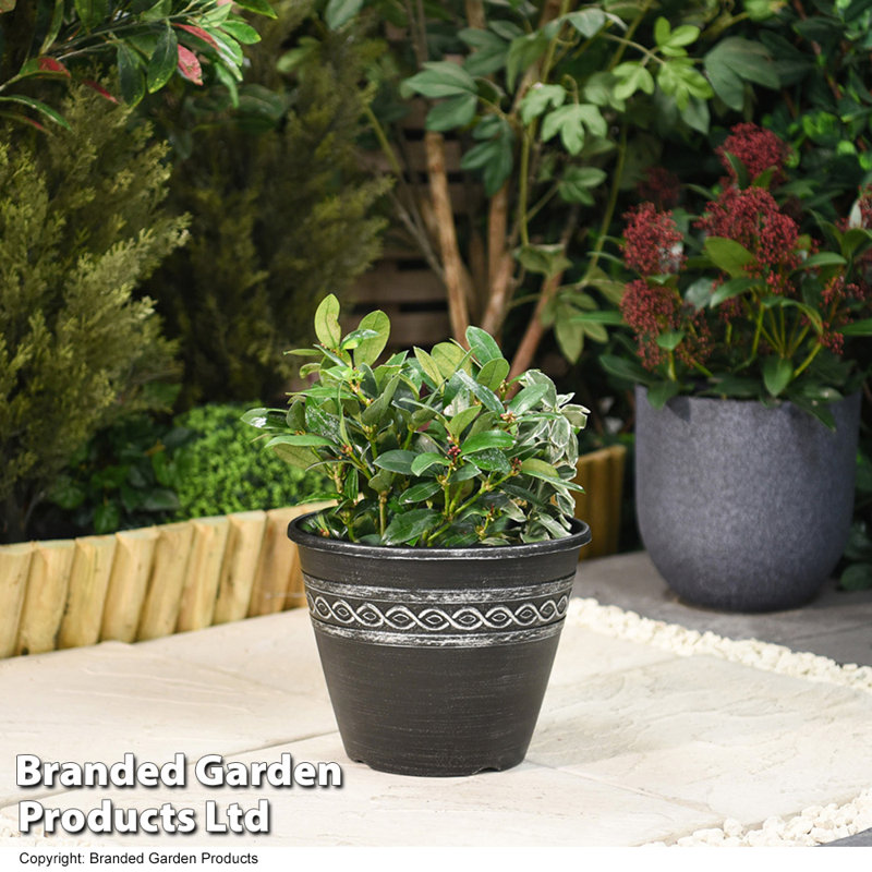 Bullins Plant Pot Triple Pack