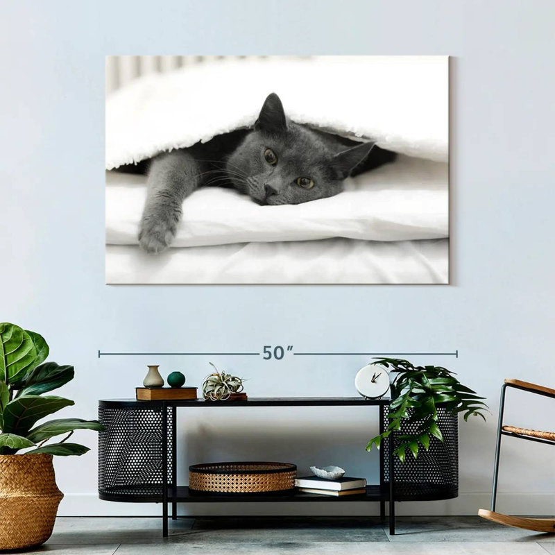 Brampt Lazy Cat, 32" H x 48" W