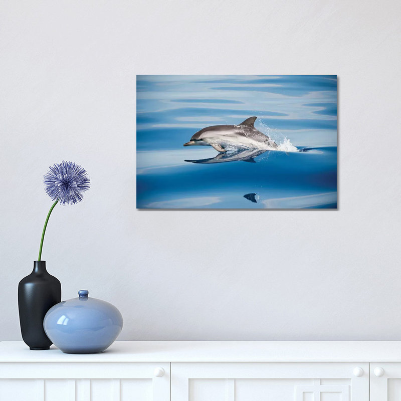 Striped Dolphin by Mirko Ugo - Print on Canvas, 30.48cm H x 45.72cm W x 1.91cm D, Wrapped Canvas