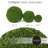 3Rd Street Inn Cypress Topiary Ball-1564844970-1564844971