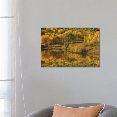 Aspen Reflections by Brian Wolf - Wrapped Canvas Print