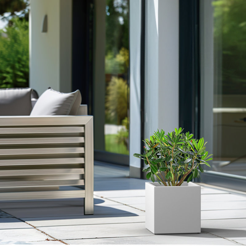 Boîte à fleurs en béton Redegonda, Blanc frais, H 10 po x l 10 po x P 10 po