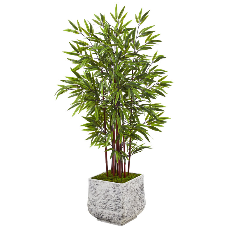 Faux Bamboo Tree in Planter