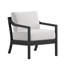 Lounge Chair-196596939