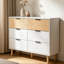 6 Drawer Storage Drawer