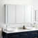 53" Seren Lighted Medicine Cabinet with Tunable LED and Wireless Speaker