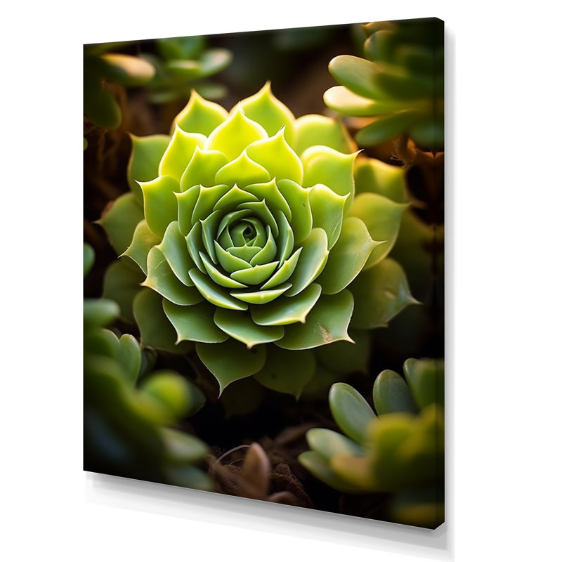 «Green Succulent Bloom», reproduction d'art sur toile, H 20 po x l 12 po, Toile tendue