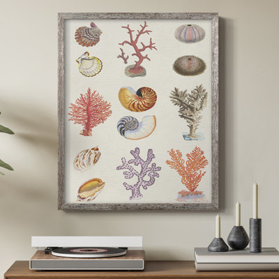 «Coral & Shell Collage I», reproduction encadrée - bois massif