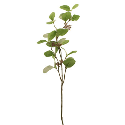 Eucalyptus Arrangement