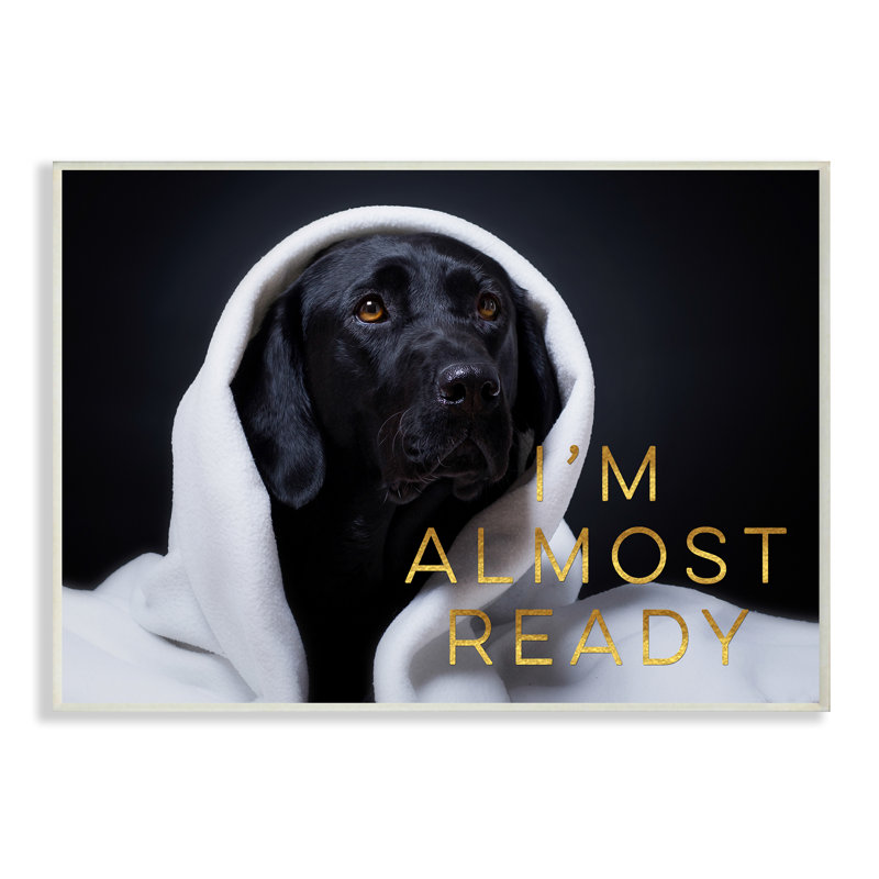 Plaque murale en forme de labrador « i is presque ready », 10 po x 15 po, Plaque