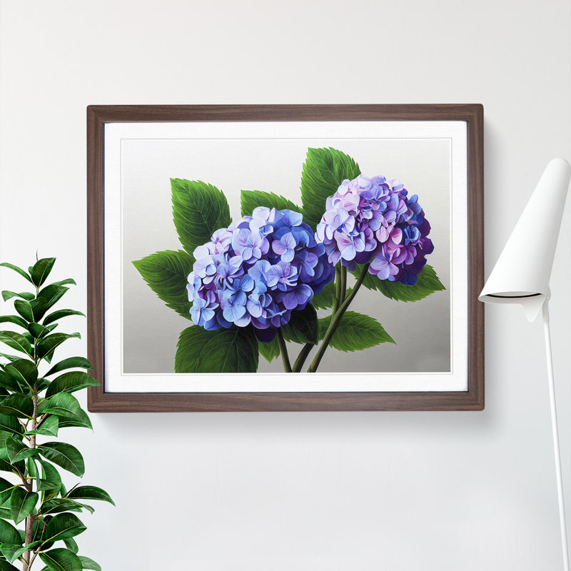 Impressive Hydrangea Flowers - Single Picture Frame Print, 46cm H x 64cm W x 2cm D, Walnut