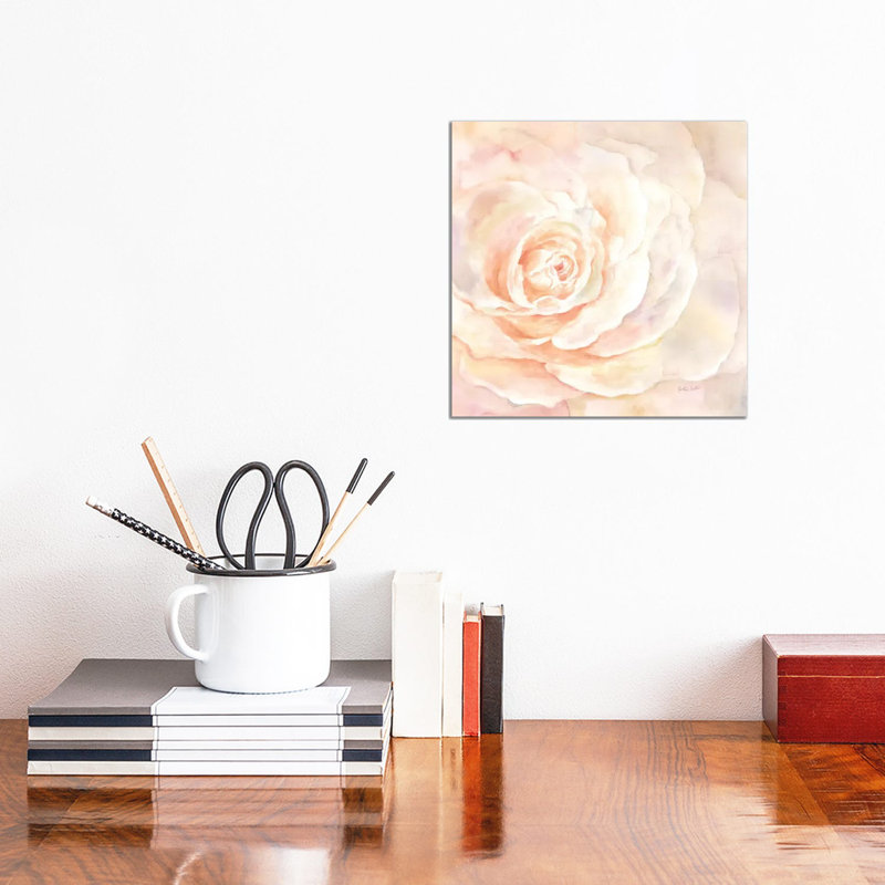 Blush Rose Closeup I by Cynthia Coulter - Wrapped Canvas Print, 30.48 cm H x 30.48 cm W