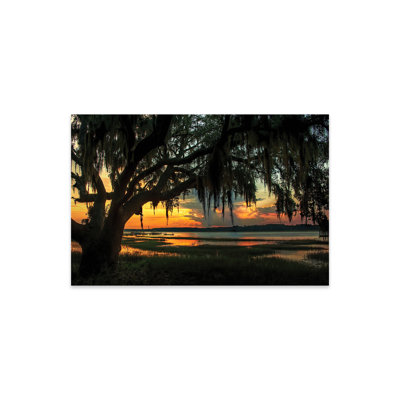 " Savannah Evening " by Natalie Mikaels