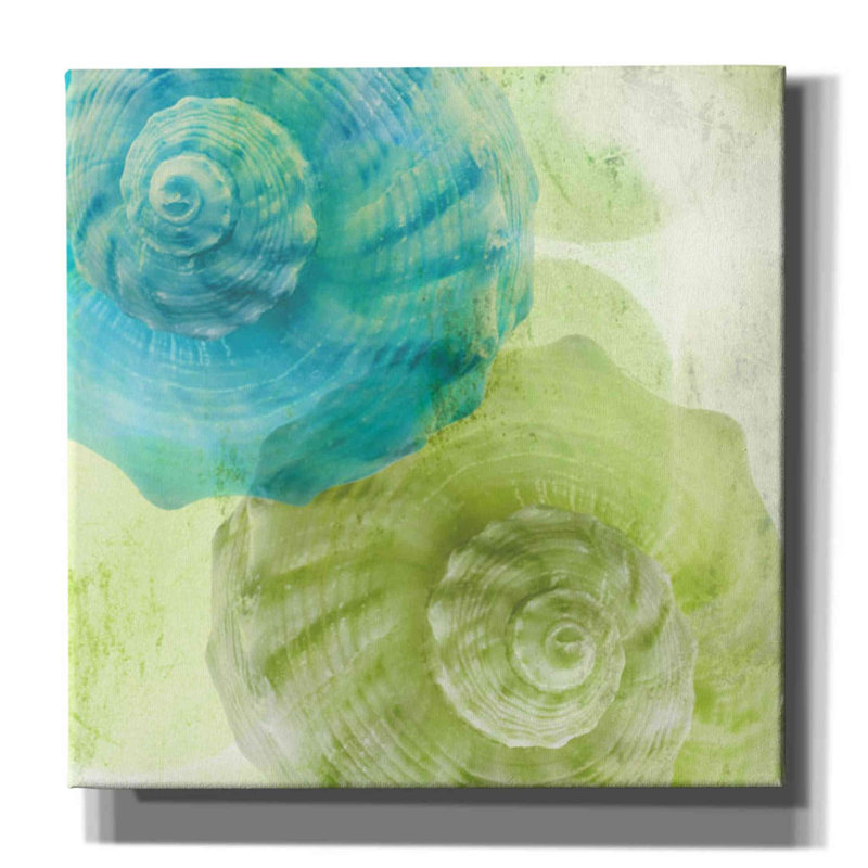 «Luminous Seashells 3» par Elena Ray, art mural sur toile, H 37 po x l 37 po x P 1,5 po