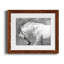 Étalon blanc - reproduction de cadre photo sur papier-749883253-749883256