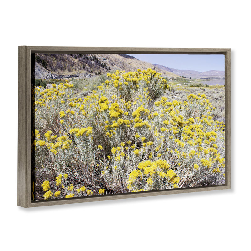 Fleurs jaunes dans un cadre flottant de prairie aride, design par Gemma Bardot, H 21 po x l 31 po