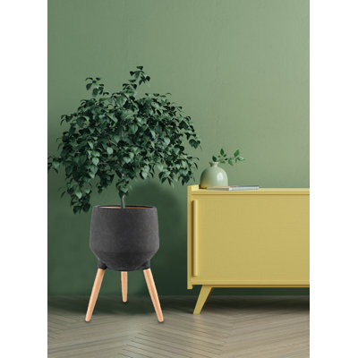 Medena Ceramic Pot Planter
