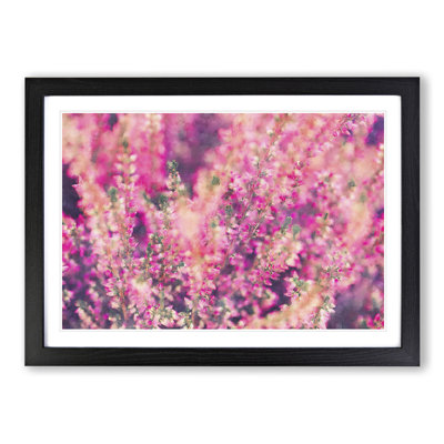 Pink Heather - Picture Frame Graphic Art