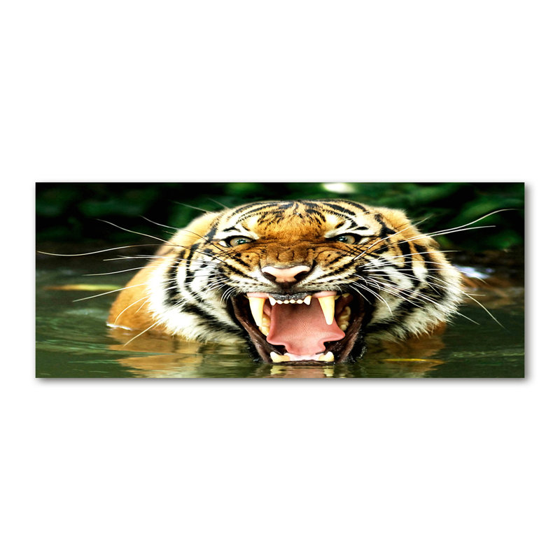 Roaring Tiger - No Frame Print on Canvas