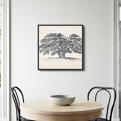 «Wide Oak Tree S Croquis» par Apolo