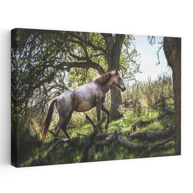 Art sauvage, cheval sauvage dans la forêt, 32" H x 48" W