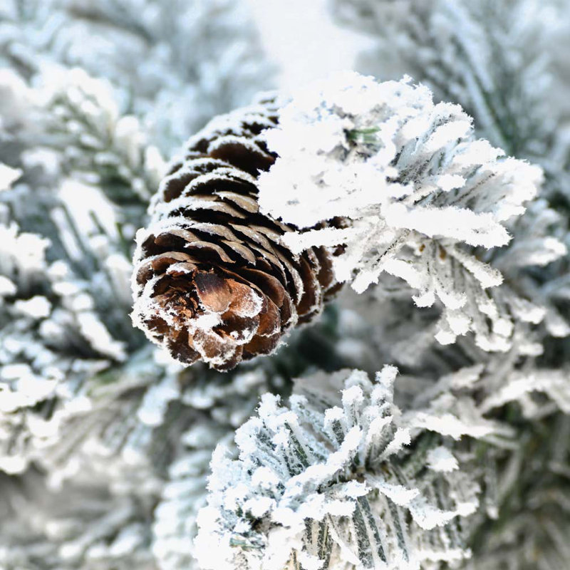 Arbre de Noël 2 pi, H 2 pi