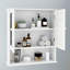 Armoire murale de salle de bain avec portes et tablettes à miroir Doule
