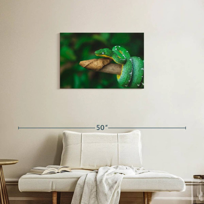 Emerald Tree Snake, 20" H x 30" W