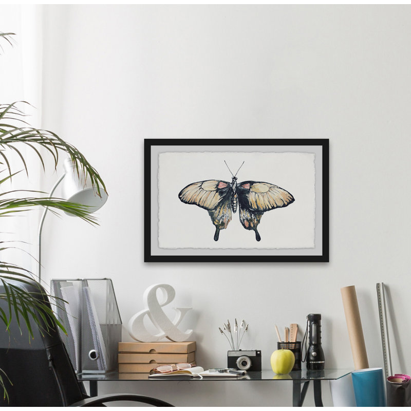 Cream Coloured Wings - Single Picture Frame Print, 30 cm H x 46 cm W