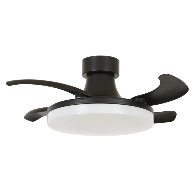 Adilene 92cm Ceiling Fan with LED Lights, Black, Black